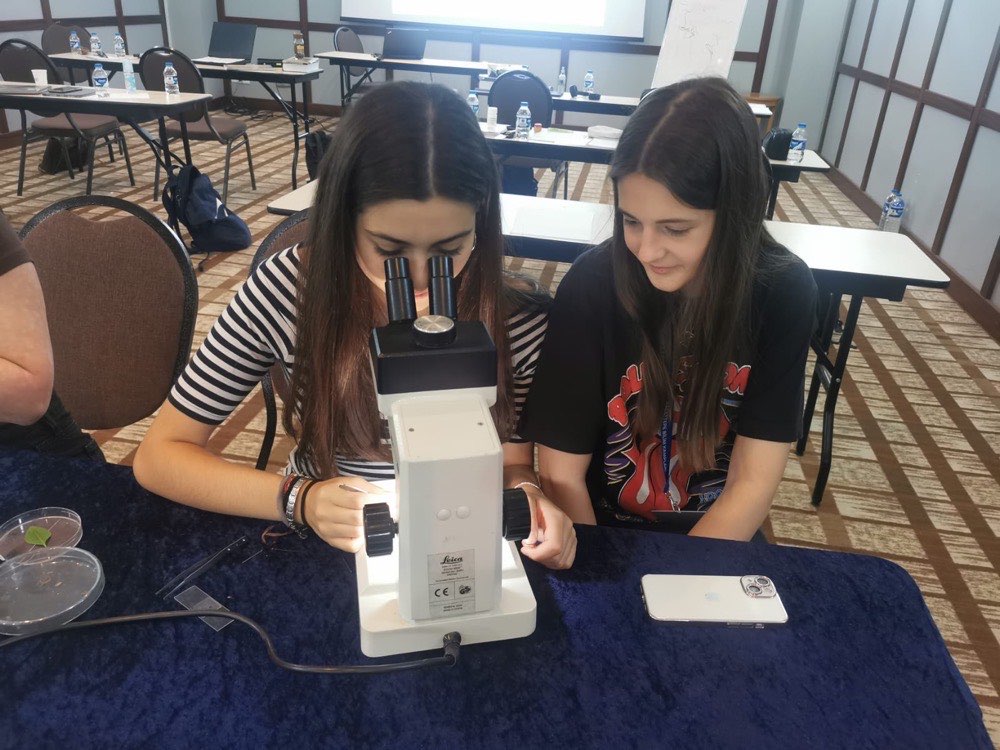 Kamp öğrencileri mikroskopta biyolojik örnek incelerken